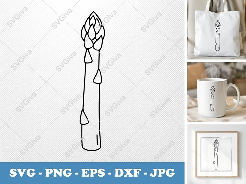 Asparagus SVG, Outline Asparagus Cut File, Vegetable Clipart, PNG, EPS, DXF for Cricut & Silhouette