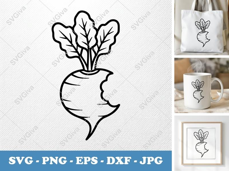 Beet SVG | Bitten Beetroot Vector Cut File | Modern Vegetable Drawing | PNG, EPS, DXF for Cricut & Silhouette
