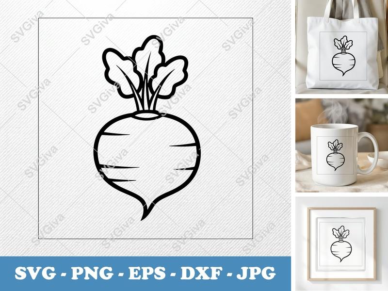 Beet SVG | Friendly Bean-Shaped Root | PNG, DXF, EPS | Cricut & Silhouette Cut File