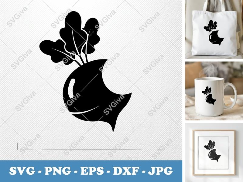 Beet SVG, Modern Clean Beetroot Cut File, Vegetable Clipart | PNG EPS DXF for Cricut & Silhouette, Kitchen Decor