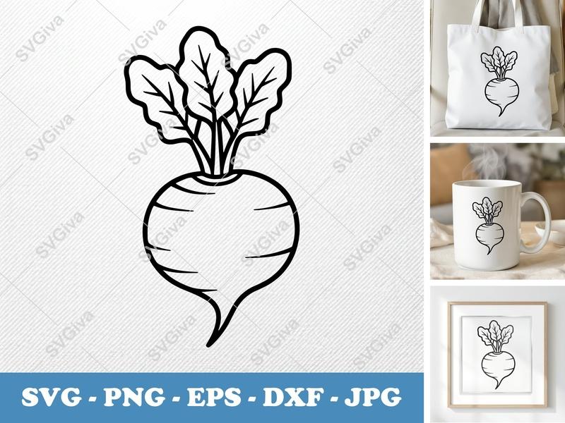 Beet SVG | Modern Clean Root Vegetable Outline | PNG EPS DXF for Cricut & Silhouette | Farmhouse Garden Food Clipart
