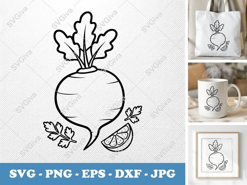 Beet SVG Outline | Vegetable Clipart, Modern Clean Design, PNG EPS DXF for Cricut & Silhouette, Farm Fresh Produce Cut File