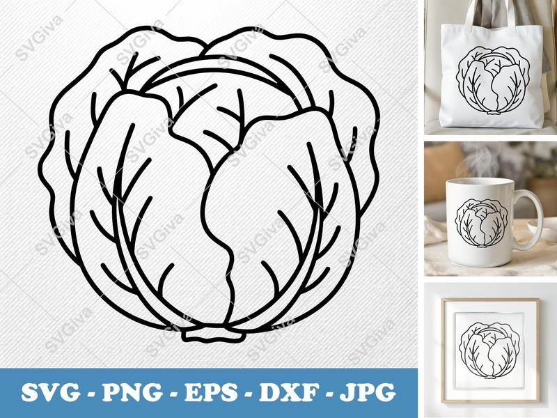 Lettuce SVG | Minimalist Vector Cut File | Bold Black Contour, Clean White Fill | PNG DXF EPS | Cricut Silhouette Kitchen Decor