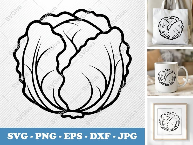 Lettuce SVG | Modern Clean Design Vegetable Clipart | PNG EPS DXF for Cricut & Silhouette | Salad Food Cut File