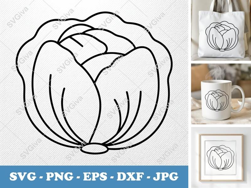 Lettuce SVG | Modern Clean Design, Vegetable Cut File | PNG EPS DXF for Cricut, Silhouette | Kitchen Decal, Outline Art