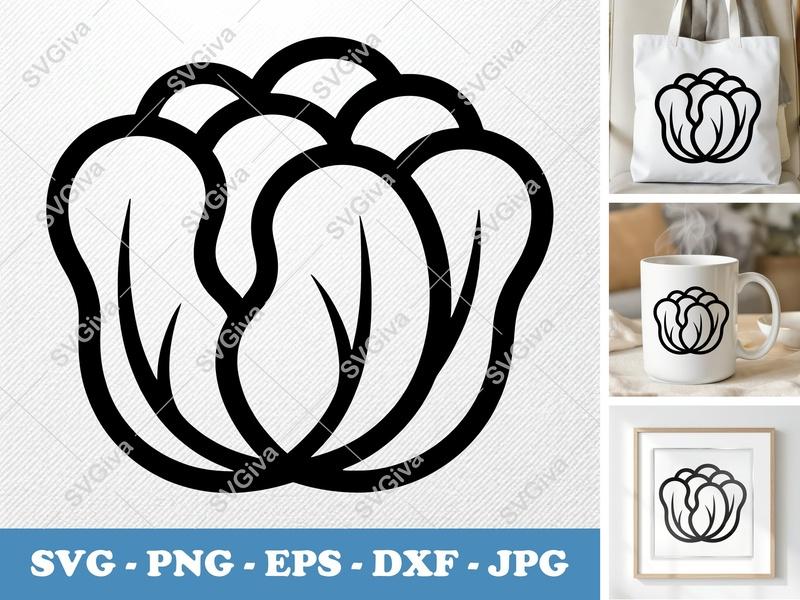 Lettuce SVG, Modern Clean Vegetable Cut File, PNG EPS DXF, Cricut Silhouette Design, Salad Food Clipart Vector