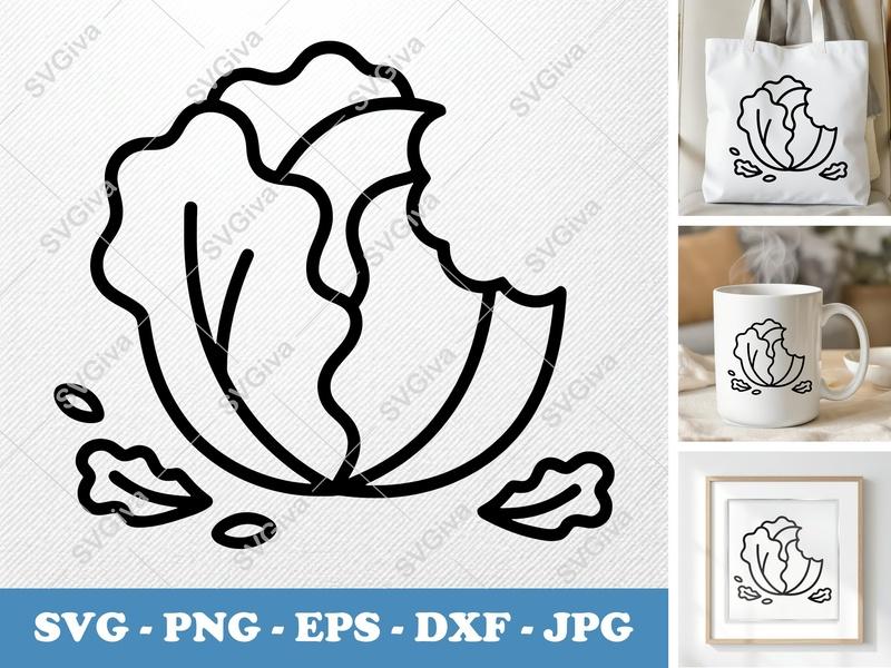 Lettuce SVG | Modern Outline Vegetable Graphic | PNG EPS DXF files for Cricut, Silhouette | Kitchen Food Clipart