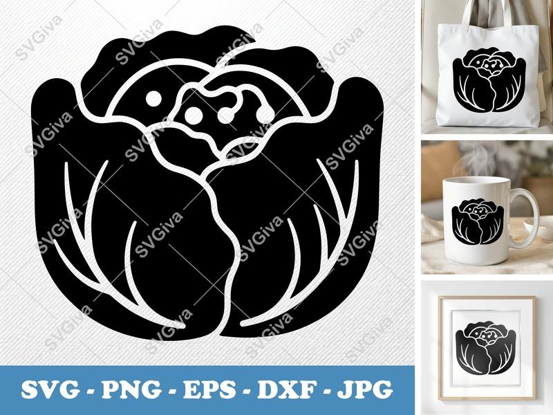 Lettuce SVG | Modern Salad Vegetable Cut File | PNG EPS DXF for Cricut & Silhouette | Kitchen Decor Vector Clipart