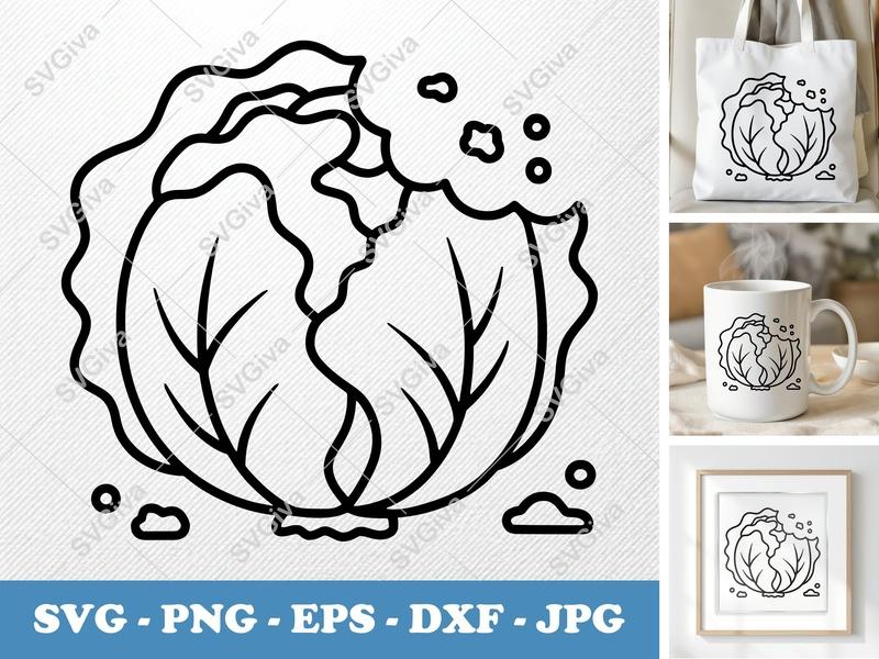 Lettuce SVG | Partially Eaten Lettuce Cut File PNG DXF EPS | Cricut Silhouette Vegetable Vector