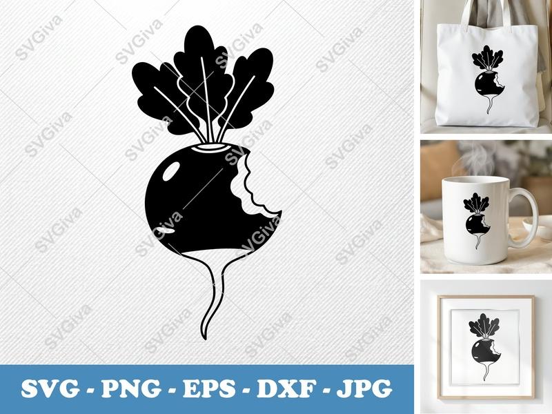 Radish SVG, Bitten Radish, Modern Vegetable Clipart, Food PNG EPS DXF for Cricut, Silhouette, Outline Vector Cut File