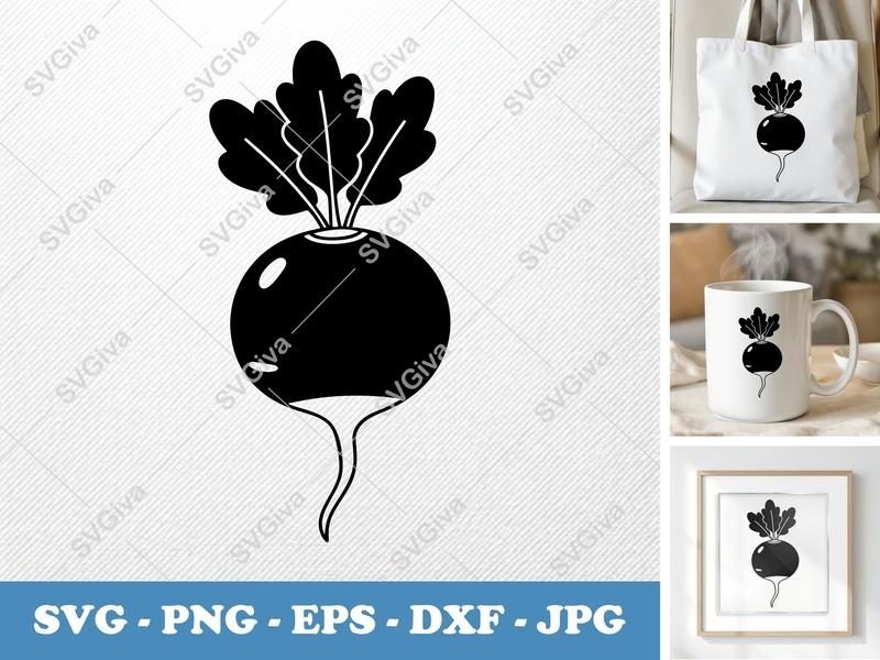 Radish SVG | Fresh Vegetable Cut File EPS PNG DXF Cricut Silhouette