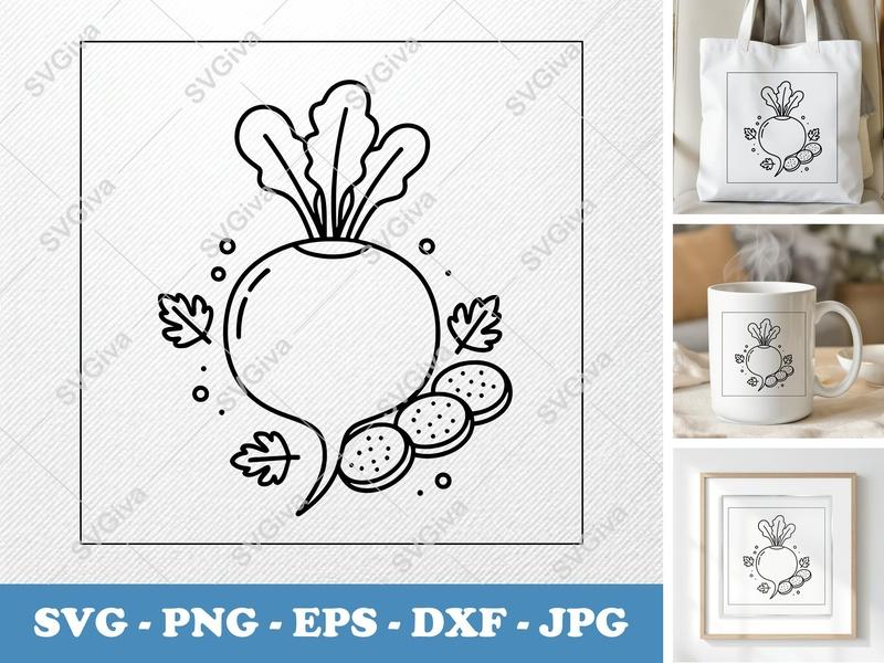 Radish with Garnish SVG | Vegetable Cut File EPS PNG DXF Cricut Silhouette