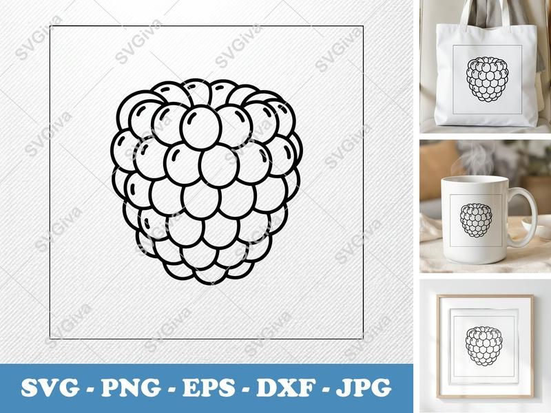 Raspberry SVG | Modern Line Art Berry | Fruit Clipart | PNG, EPS, DXF for Cricut & Silhouette | Outline Design