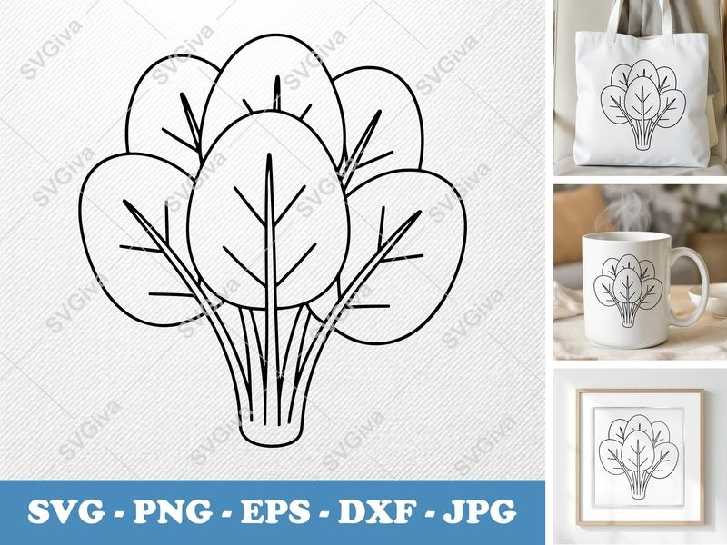 Spinach SVG Bundle, Modern Clean Vegetable Cut File, PNG EPS DXF for Cricut Silhouette, Kitchen Garden Food Clip Art