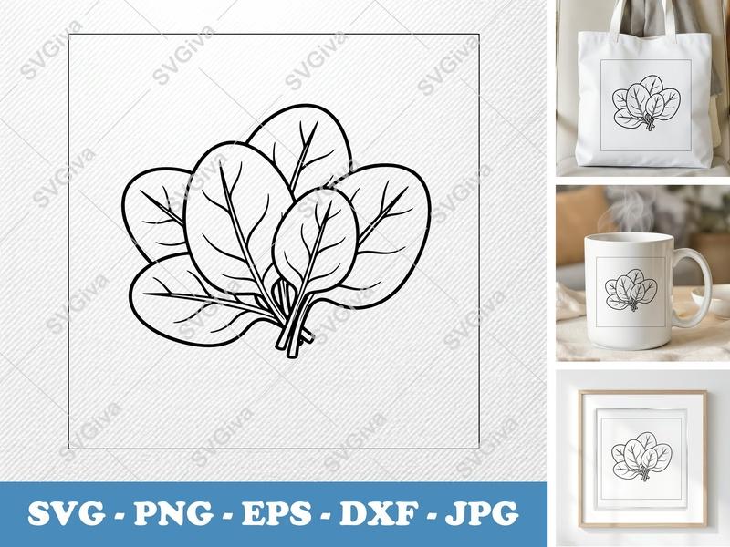 Spinach SVG Bundle, Modern Clean Vegetable Design, PNG EPS DXF, Cricut Silhouette Cut File, Healthy Food Clipart