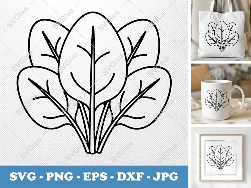 Spinach SVG | Fresh Double-Outline Minimalist Design | Thick Contour, Thin Lines | PNG DXF EPS | Cricut Silhouette File