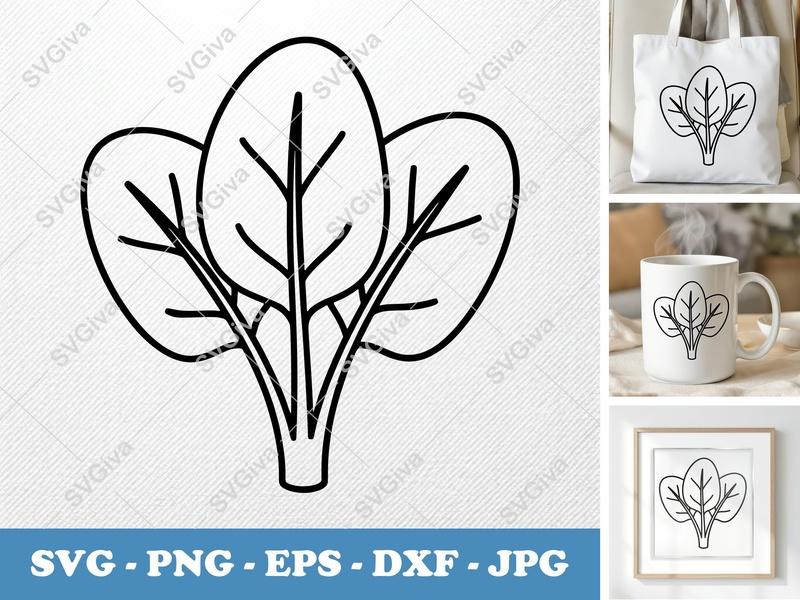 Spinach SVG | Friendly Rounded Bean-Shaped Fresh Leaves | PNG DXF EPS | Cricut Silhouette File