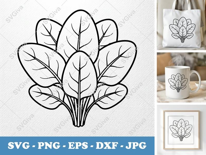 Spinach SVG | Modern Clean Design, Vegetable Leaves Cut File | PNG EPS DXF for Cricut, Silhouette | Kitchen Decor