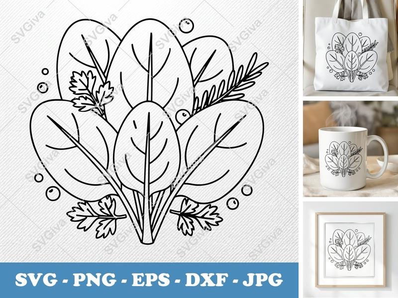 Spinach SVG | Modern Clean Leaf Design | PNG EPS DXF for Cricut & Silhouette | Vegetable Cut File, Kitchen Decor