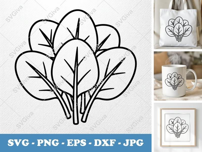 Spinach SVG, Modern Clean Leaves PNG, EPS, DXF | Cricut & Silhouette Cut File | Vegetable Clipart Design