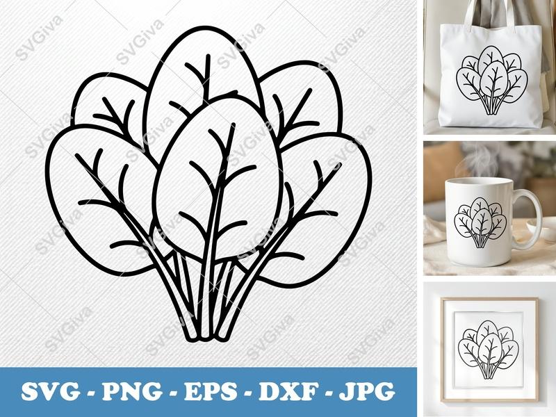 Spinach SVG, Modern Clean Vegetable Cut File for Cricut | PNG EPS DXF | Healthy Food Clipart, Silhouette Design